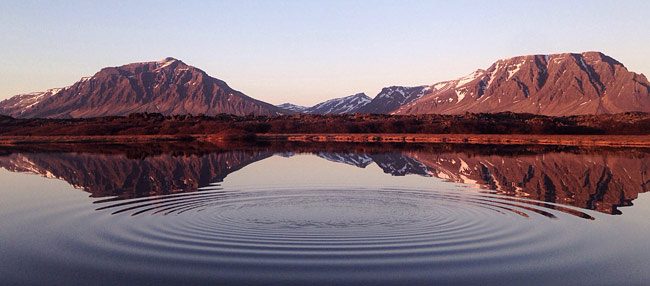 Support for 'SkipField' Function with Microsoft Dynamics NAV Web Service Connector (3.2.92u)