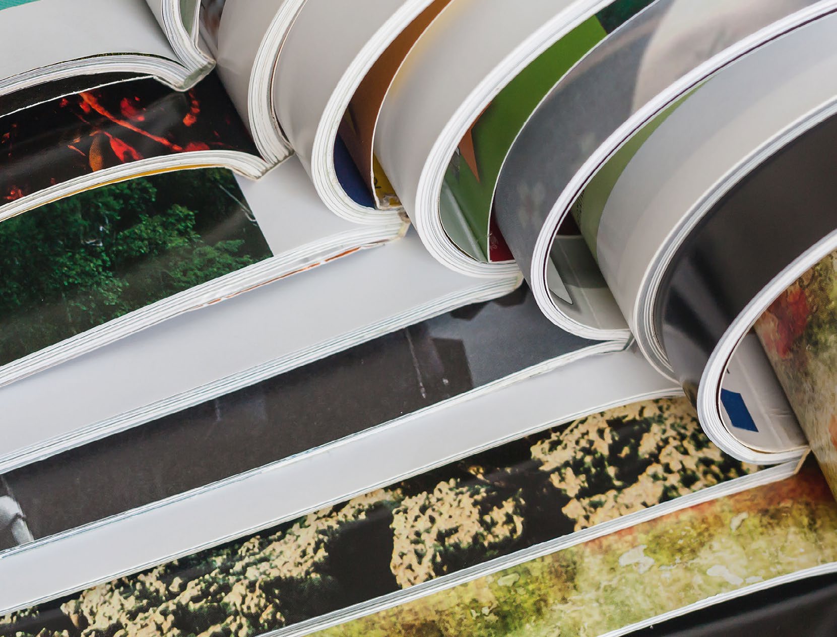 Several illustrated books lying open in an overlapping row